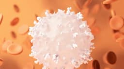 Linfocitos: Los guerreros contra el cáncer que tal vez estemos pasando por alto