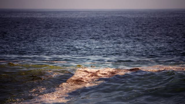 Denuncian derrame de petróleo que contamina playas del este de México