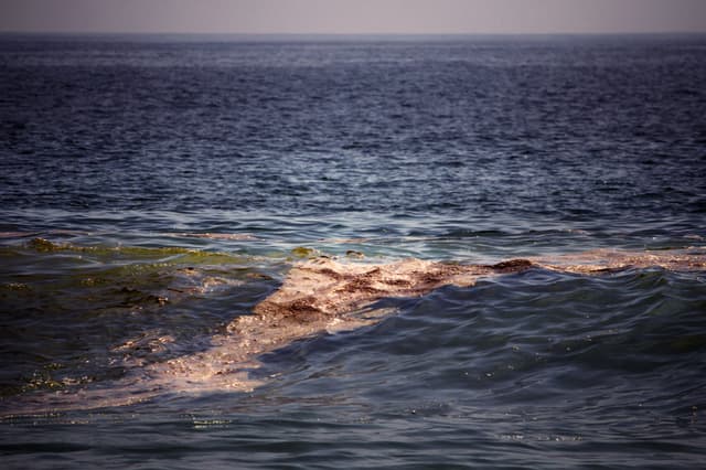 De acuerdo con un comunicado difundido este miércoles por la Red Corredor Arrecifal del Golfo de México y decenas de organizaciones, desde el pasado 1 de marzo se reportó la presencia de residuos derivados del petróleo en playas, lagunas y mar abierto a lo largo de casi 170 kilómetros de litoral. Fotografía de archivo. (EFE/ Luis Villalobos)