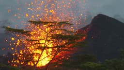 Tragedia en el Kīlauea: El alto precio de ignorar los límites de la naturaleza