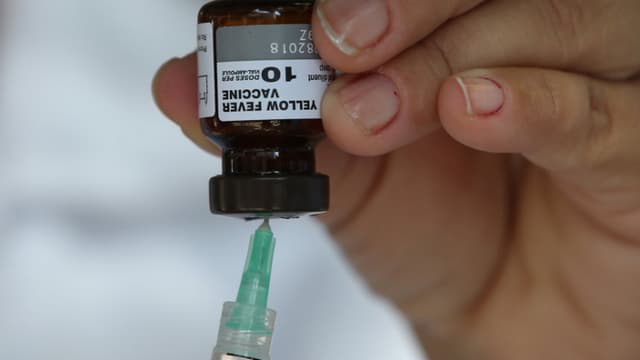 Venezuela admite fallecidos por fiebre amarilla; ministra de Salud evita precisar número