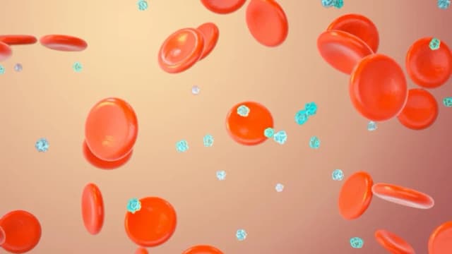 Resistencia a la insulina puede aumentar silenciosamente por años: lo que hay que tener en cuenta