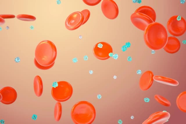 (Silver Place/Shutterstock)