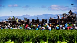 EE. UU. impulsa ventas agrícolas a El Salvador como parte de mayor cooperación