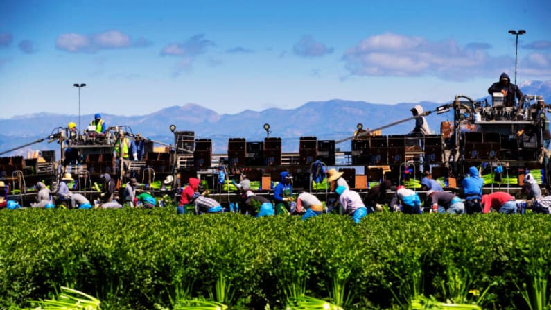 EE. UU. impulsa ventas agrícolas a El Salvador como parte de mayor cooperación