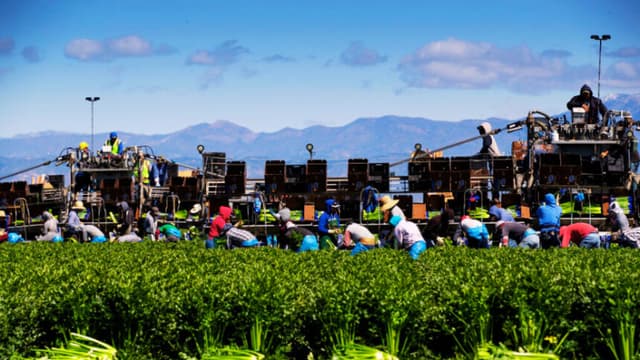 EE. UU. impulsa ventas agrícolas a El Salvador como parte de mayor cooperación