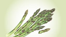 Espárragos: Un tallo repleto de antioxidantes que beneficia el intestino y los huesos
