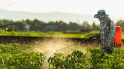 La agricultura estadounidense es adicta al glifosato, la agricultura regenerativa puede ponerle remedio