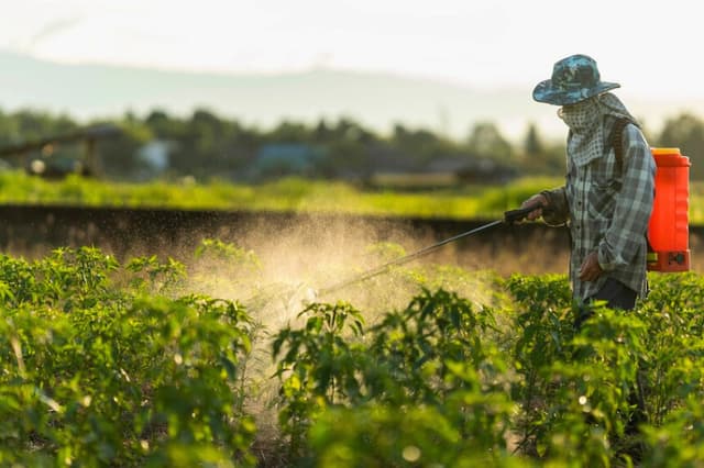 El glifosato se encuentra en el agua, el aire y nuestros cuerpos, así como en la mayor parte de los alimentos que consumimos. Esto es lamentable para nosotros y puede resultar trágico para los agricultores. (Pipat Yapathanasap/Shutterstock).