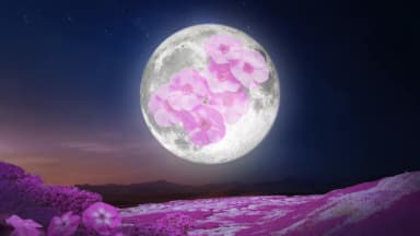 La "Luna Rosa" de abril iluminará el cielo nocturno para dar la bienvenida a la primavera: Esto debe saber