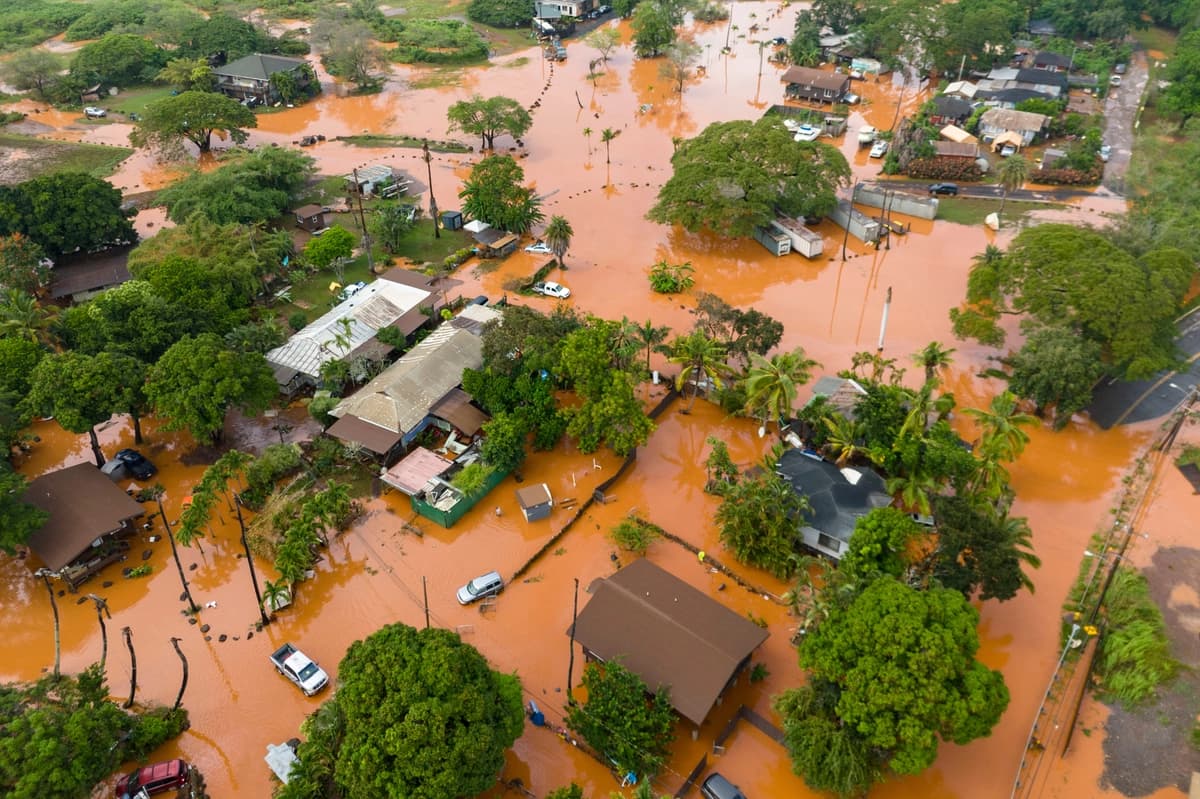 Un barrio residencial en Waialua, Hawái, se ve afectado por las inundaciones, el 20 de marzo de 2026. (Foto AP/Mengshin Lin)
