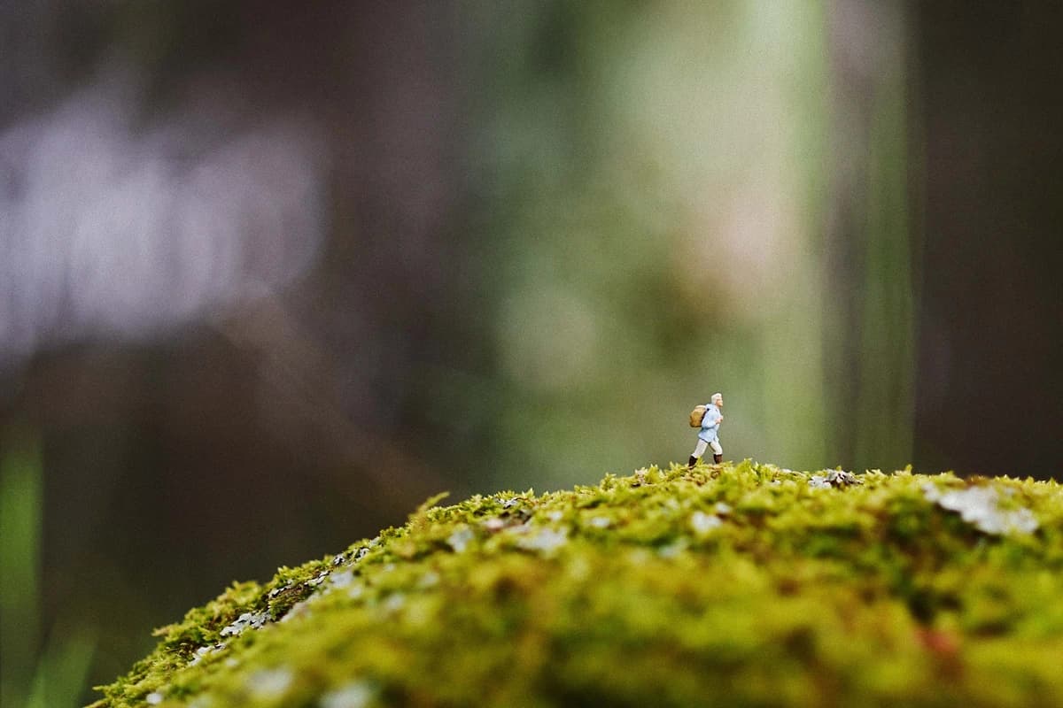 Disciplinas silenciosas. (Cubo de luz/Shutterstock).