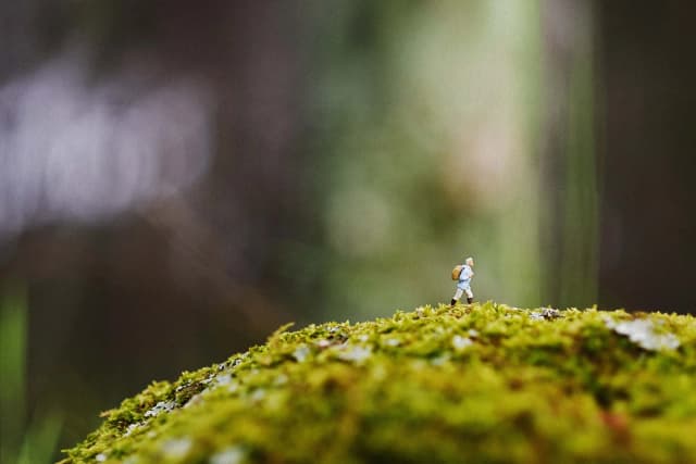 Disciplinas silenciosas. (Cubo de luz/Shutterstock).