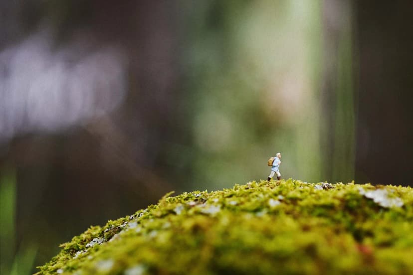 Disciplinas silenciosas. (Cubo de luz/Shutterstock).