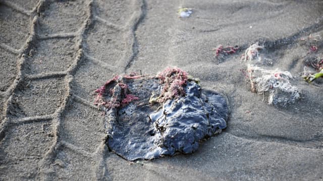 Derrame en el Golfo frente a Campeche data de febrero denuncia ONG