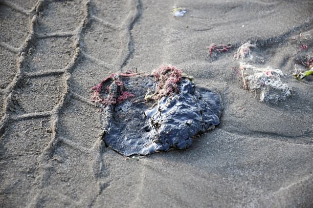 Fotografía que muestra una playa contaminada por derrame de combustible este martes, en Veracruz (EFE/ Miguel Victória)