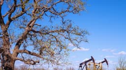 Petróleo supera 115 dólares tras advertencia de Irán sobre posible invasión de EE. UU.