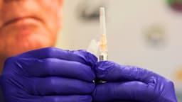 Pfizer y BioNTech suspenden estudio en EE. UU. sobre vacuna actualizada contra COVID-19