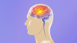 ¿Qué hace que el cerebro de los "supermayores" sea tan especial?