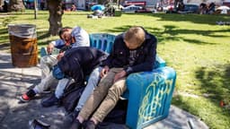 Autoridades de EE. UU. advierten por sedante para animales en drogas ilícitas