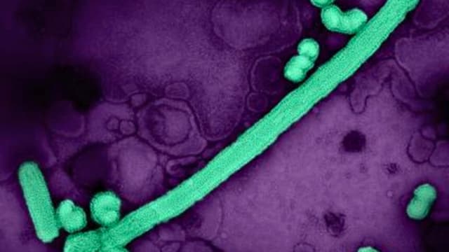 Los datos de los CDC indican que la temporada de gripe está llegando a su fin