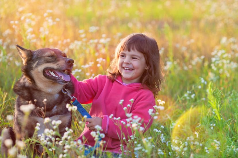 Estudios sobre el desarrollo infantil sugieren que la interacción regular con animales puede favorecer la empatía, la responsabilidad y el desarrollo socioemocional en los niños. (vvvita/Shutterstock)
