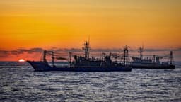 Régimen chino vertió sustancias químicas tóxicas en el mar de la China Meridional, según Manila