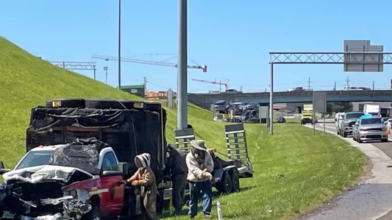 En Tennessee, una nube de abejas bloquea rampa y causa caos vehicular