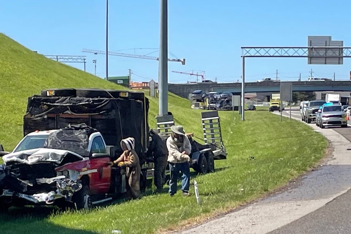 En Tennessee, una nube de abejas bloquea rampa y causa caos vehicular