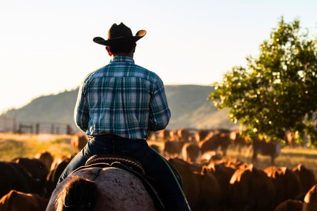 (Phinehas Adams/Unsplash).