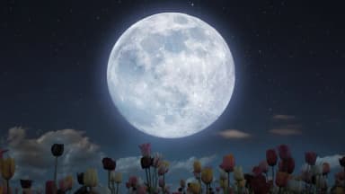 En mayo habrá dos lunas llenas, incluyendo una rara microluna azul: Todo lo que necesita saber