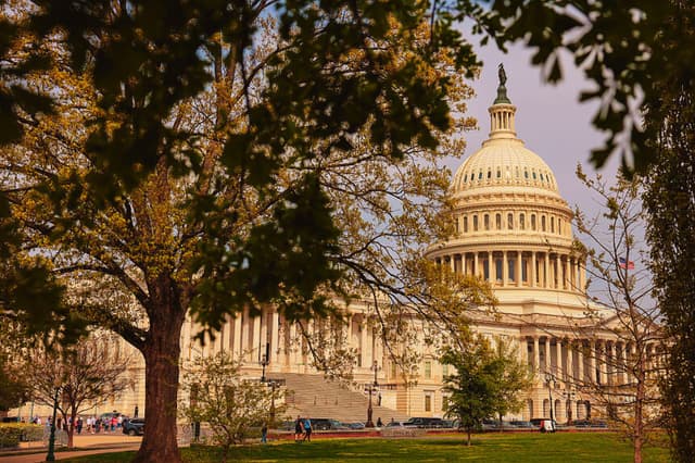 Árboles y flores florecen frente al edificio del Capitolio de EE. UU. el 13 de abril de 2026 en Washington, D.C. (Heather Diehl/Getty Images)