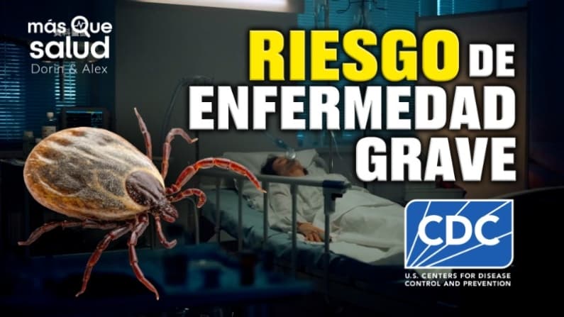 Alerta: Aumentan picaduras de garrapatas y riesgo de enfermedad grave