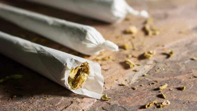 El cannabis frena el desarrollo cerebral en adolescentes, según estudio en EE. UU.