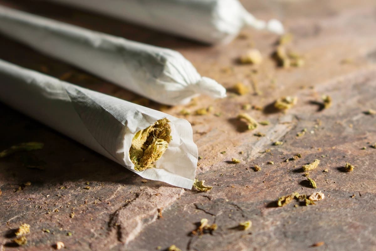 El cannabis podría estar frenando el desarrollo cerebral en adolescentes. (Craig F Scott/Shutterstock).