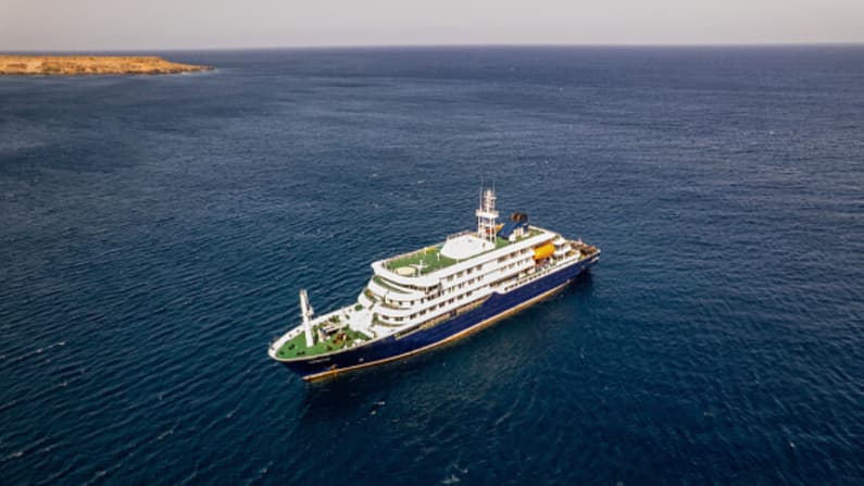 Sudáfrica confirma cepa de hantavirus transmisible entre humanos en crucero