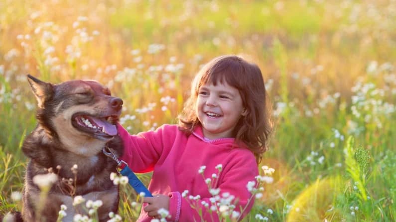 7 maneras sorprendentemente prácticas para ser más feliz, según Aristóteles