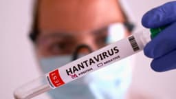 Aumentan casos de hantavirus en crucero y países amplían cuarentenas