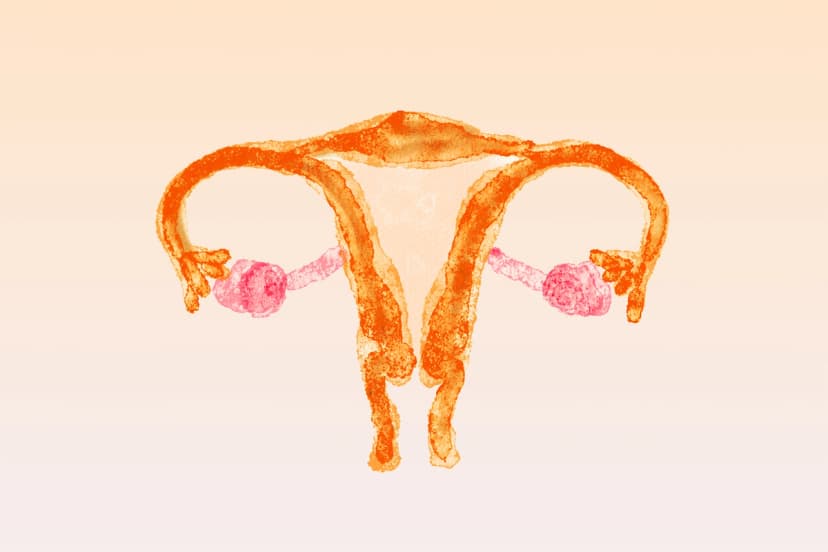 Útero y ovarios enfrentan diferentes malformaciones que podrían tardar en diagnosticar. (Ilustración de The Epoch Times, Getty Images).