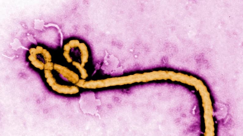 Estados Unidos emite advertencias de viaje por el brote de ébola en el Congo