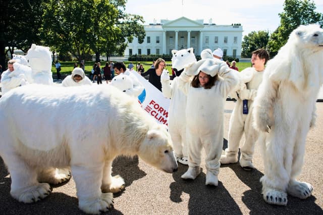 En esta fotografía de archivo, unos activistas se disfrazan de osos polares frente a la Casa Blanca para exigir medidas contra el cambio climático. (Brendan Smialowski/AFP/Getty Images).