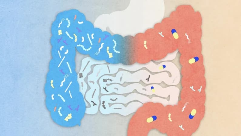 Medicamentos modernos cambiaron el microbioma intestinal de indígenas amazónicos en meses