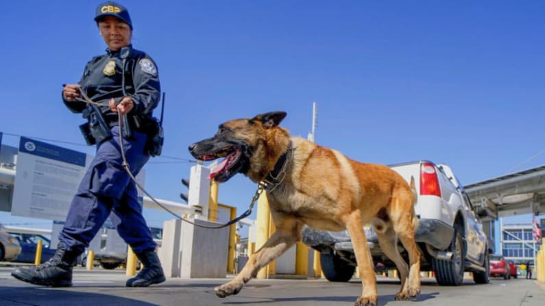 CBP incauta cocaína por valor de más de medio millón de dólares en la frontera
