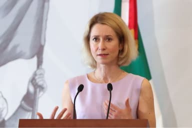 Harfuch y la alta representante de la UE, Kaja Kallas "intensifican cooperación contra el crimen organizado"