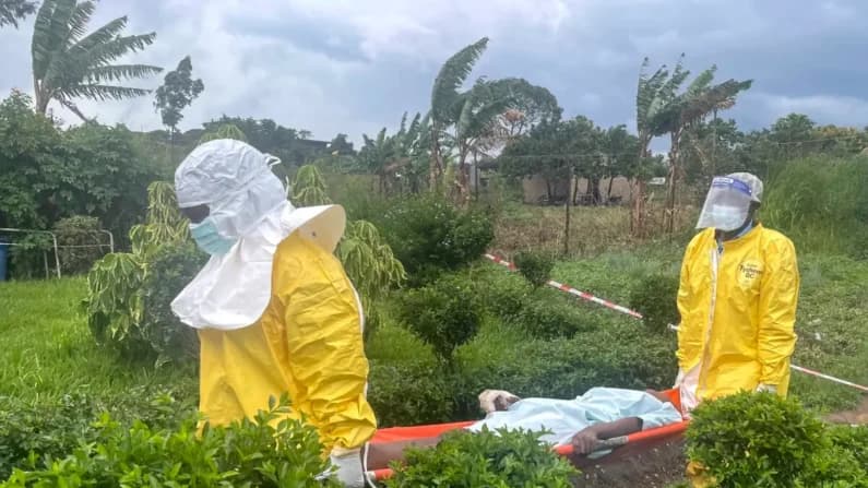 La OMS identifica vacunas prometedoras contra el ébola para ensayos clínicos en plena epidemia