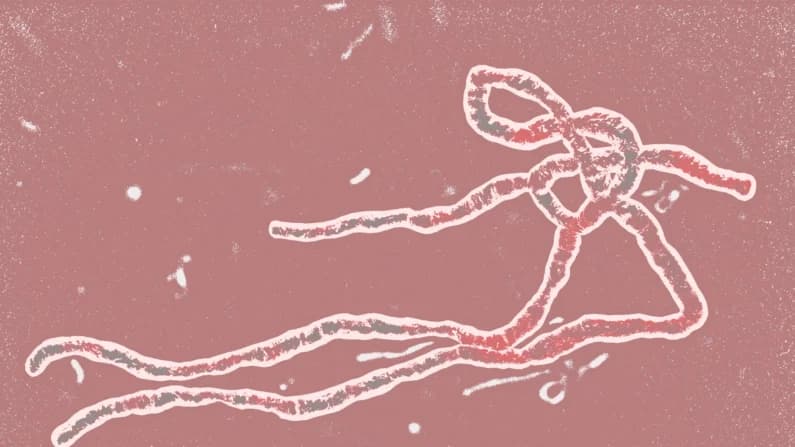 El virus del Ébola es mortal, pero he aquí por qué no debe preocuparse