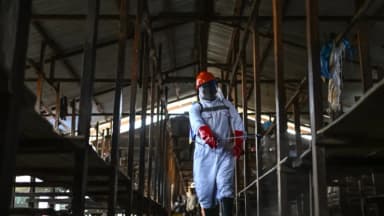 Brote de ébola aumenta a más de 900 casos sospechosos