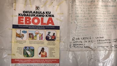 Virus para principiantes