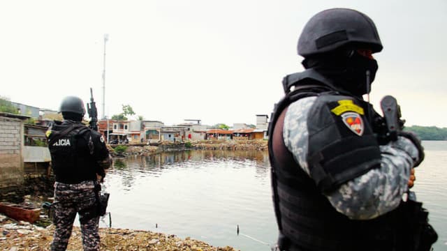 Ecuador decomisa 1.2 toneladas de droga escondida en fruta rumbo a Reino Unido