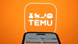 La UE multa a Temu con 232 millones de dólares por vender productos ilegales y peligrosos